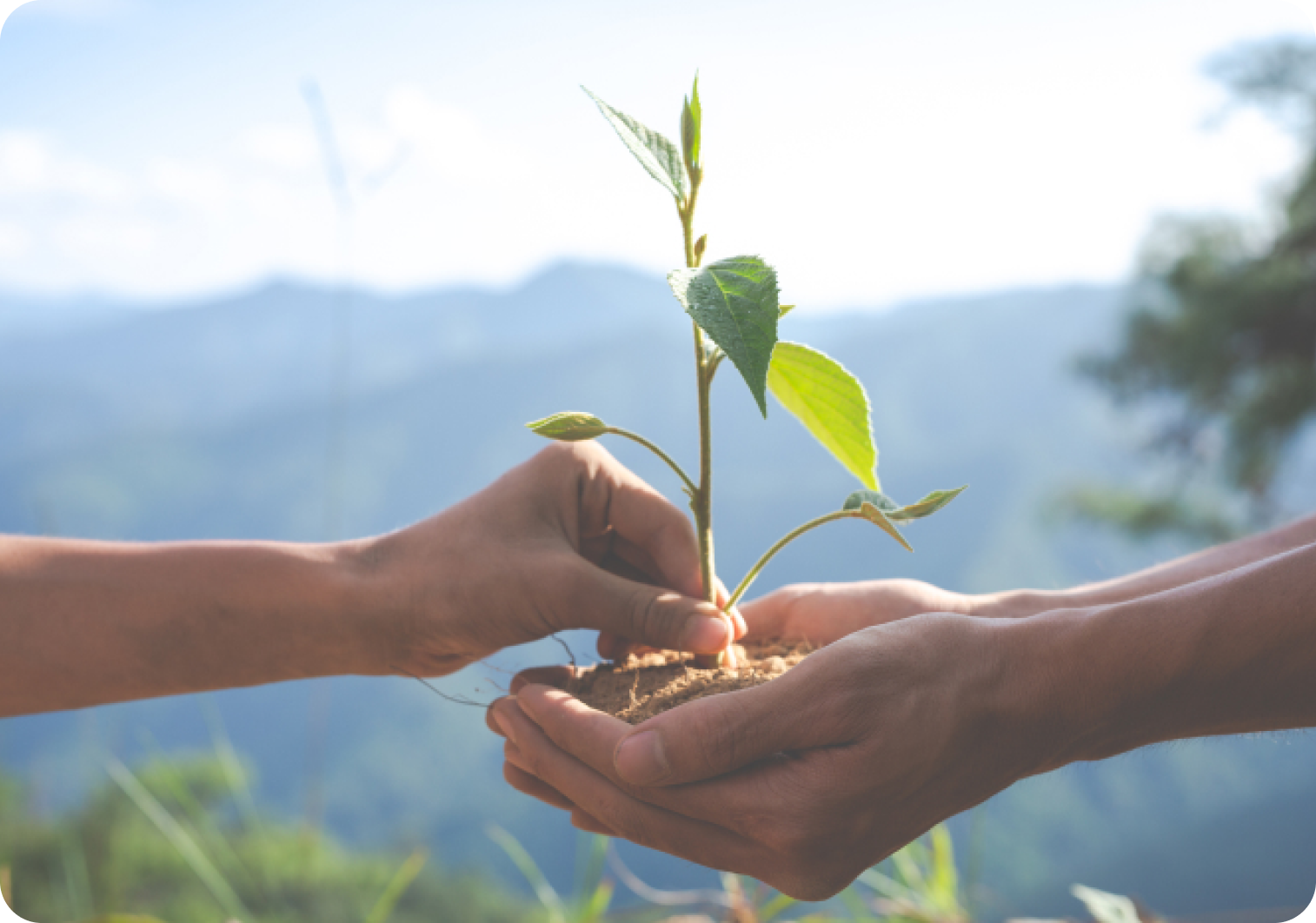 55世纪电源公益基金会