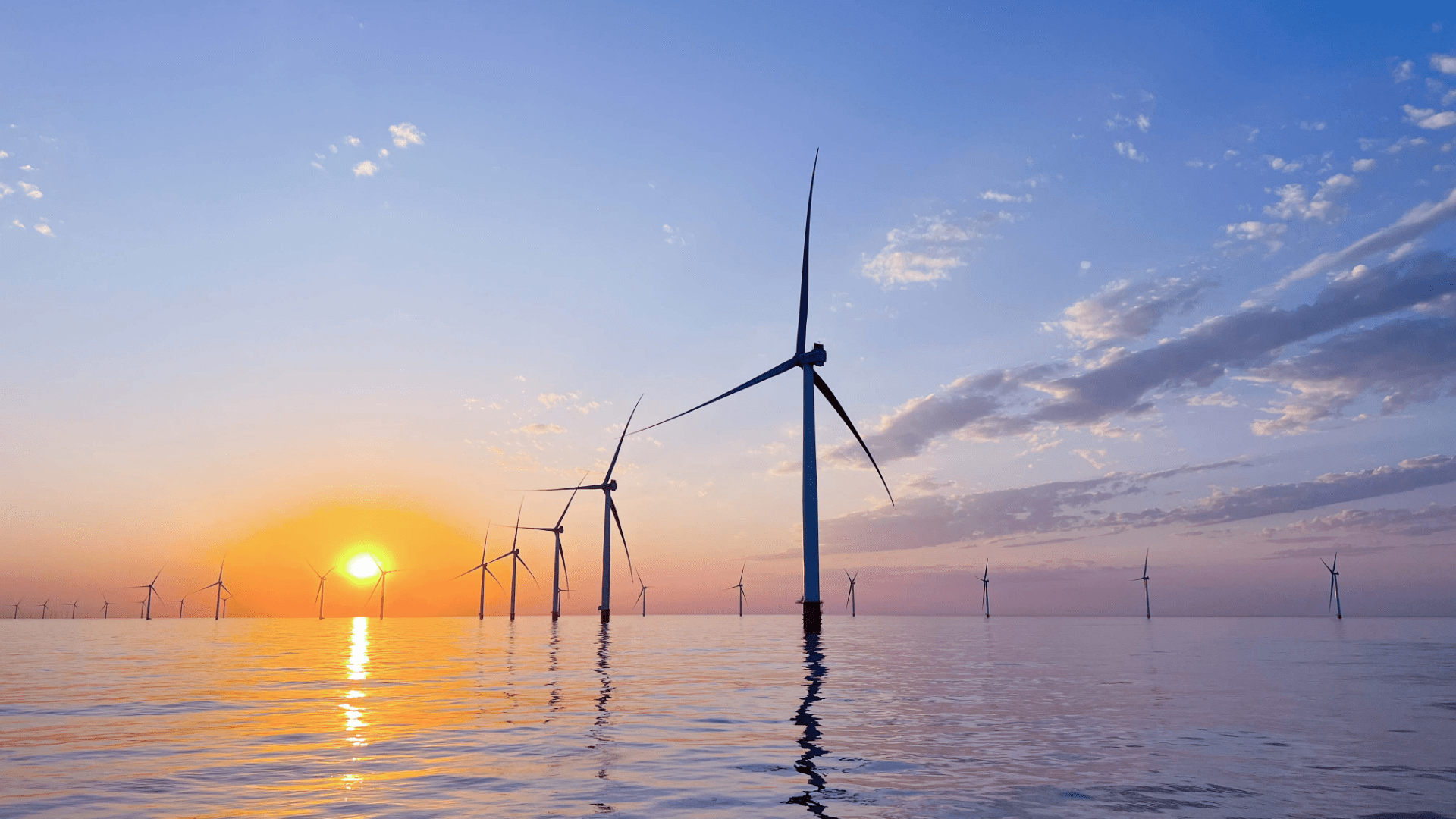 山东东营渤中海上风电场