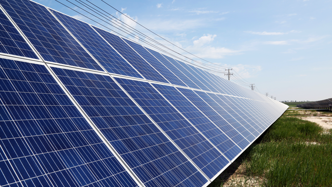 公司注重项目开发过程中的生态和生物多样性保护，在开发、建设新能源电站过程中，尊重自然、顺应自然、保护自然。项目选址前，公司经由权威第三方机构开展生物多样性及候鸟迁徙评估报告，保证项目选址不占用、不影响生物多样性及候鸟迁徙路线。同时，针对水土流失、污废水、火灾等潜在生态问题，公司均采取针对性措施，同时在施工建设全过程建立环境因素控制台账，组织对绿色施工开展检查与验收。