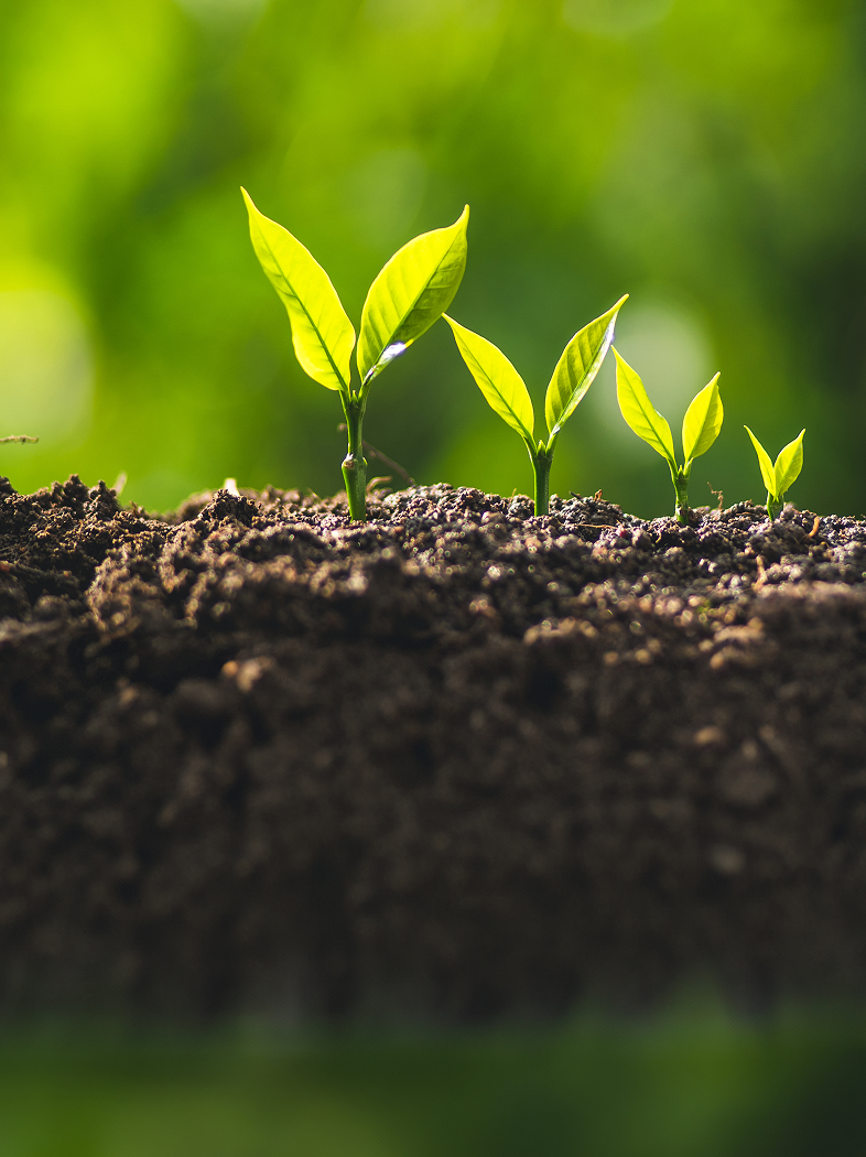 798小时，他们和供应商聊了什么？