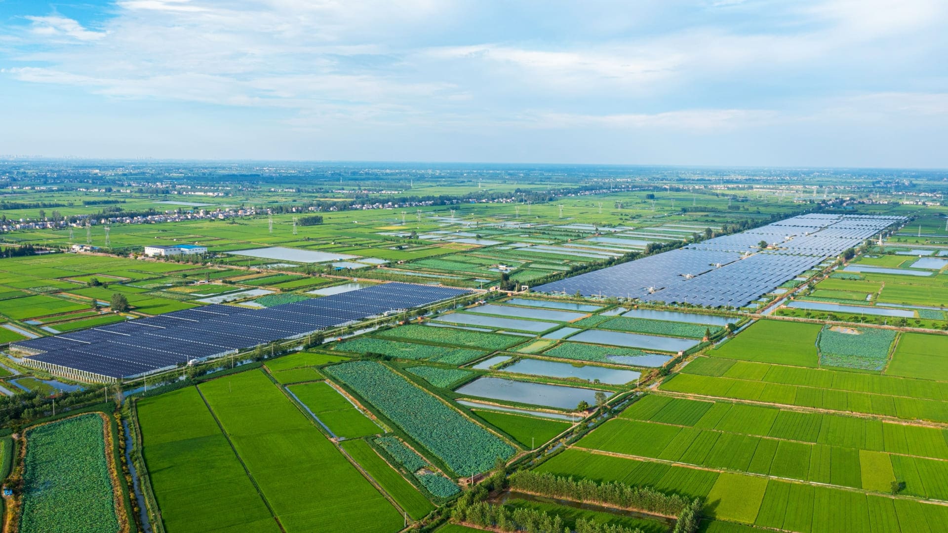 55世纪新能源洪湖200MW渔光互补电站